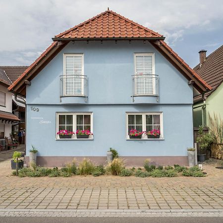 Ferienwohnung Schlaefer Kappel-Grafenhausen Exteriér fotografie